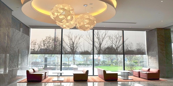 늄ꖺЩZotyŷ(й)ٷվ